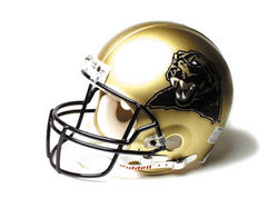 Pittsburgh Panthers Full Size Authentic "ProLine" NCAA Helmet by Riddell
